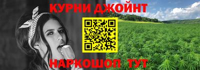 спиды Кингисепп
