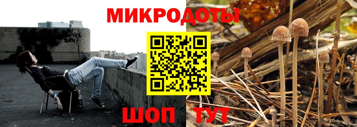 Псилоцибиновые грибы Psilocybine cubensis Коломна